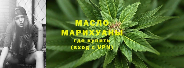дживик Верхний Тагил