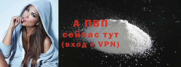 дживик Верхний Тагил