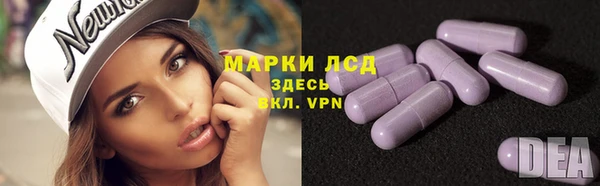 дживик Верхний Тагил