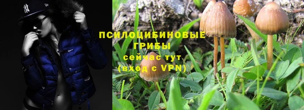 бутират Верея