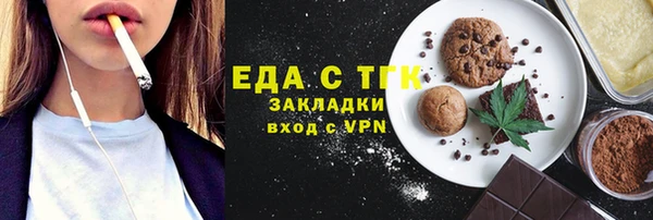 дживик Верхний Тагил
